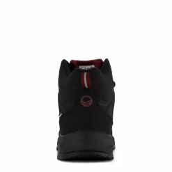 Felis Mid Dx W Black*Halti New