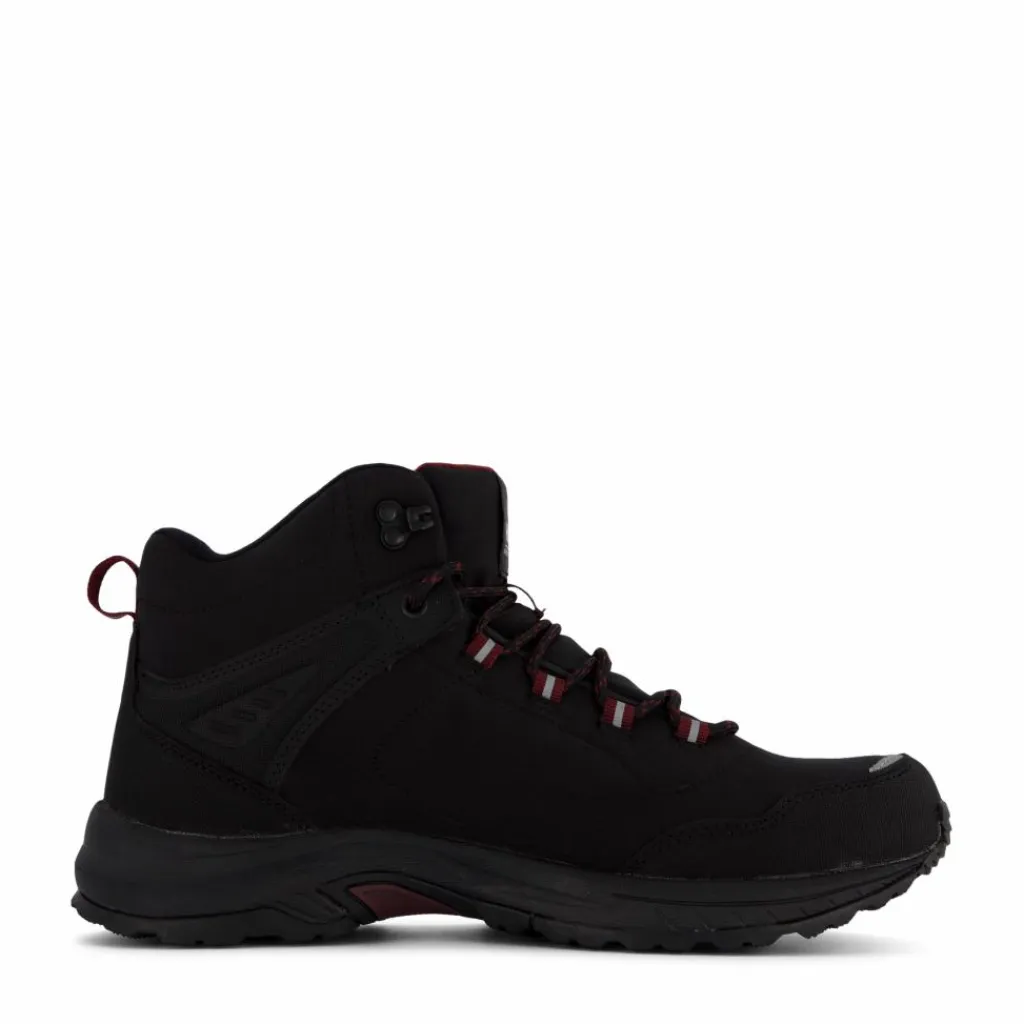Felis Mid Dx W Black*Halti New