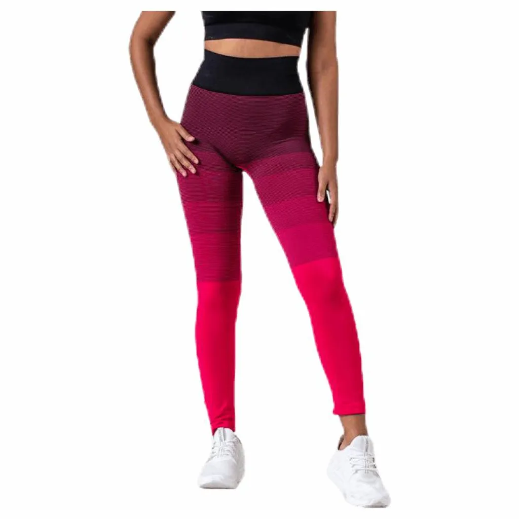BLACC Gradient Seamless Tights Pink Rosa Hot