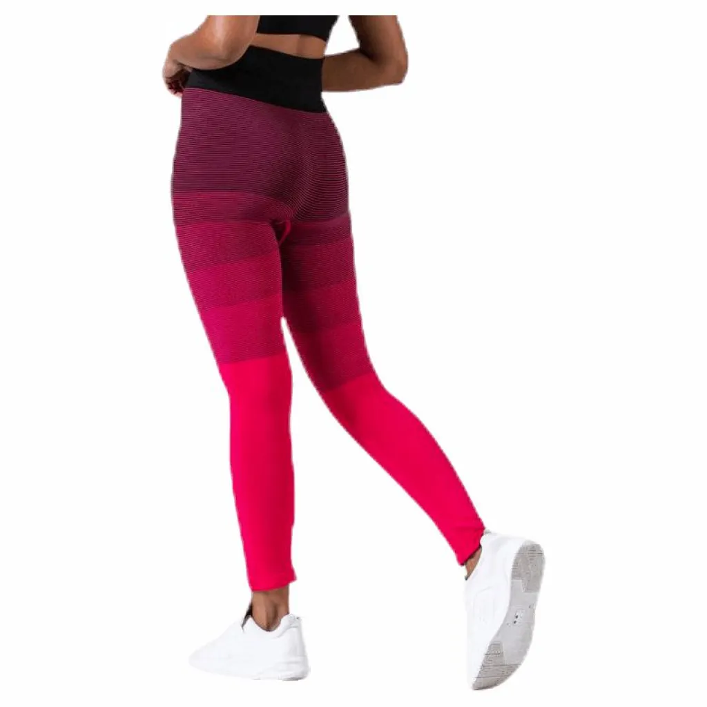 BLACC Gradient Seamless Tights Pink Rosa Hot