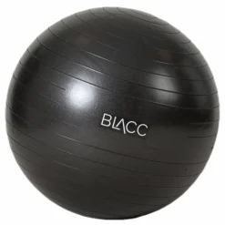 BLACC Gym ball 65cm Black Svart