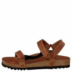 Scholl Heaven Brun
