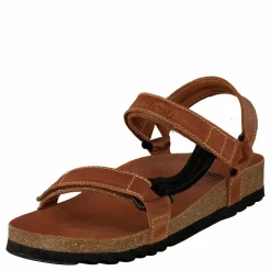 Scholl Heaven Brun