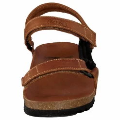 Scholl Heaven Brun