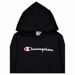 Hooded Sweatshirt Black Beauty*Champion