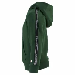 Champion Hooded Sweatshirt Junior Green Grön Online
