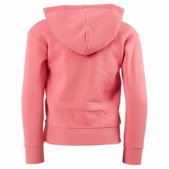 Hooded Sweatshirt Ps171*Champion Hot