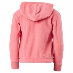 Hooded Sweatshirt Ps171*Champion Outlet