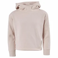 Hooded Sweatshirt Ps075*Champion Sale