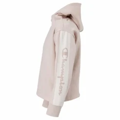 Hooded Sweatshirt Ps075*Champion Sale