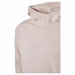 Hooded Sweatshirt Ps075*Champion Sale