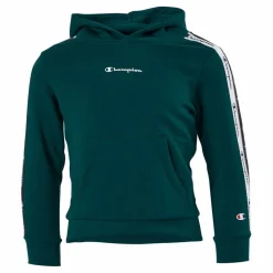 Hooded Sweatshirt Rain Forest*Champion Best
