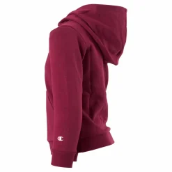 Hooded Sweatshirt Rhododendrow*Champion Discount