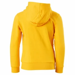 Hooded Sweatshirt Saffron*Champion Best