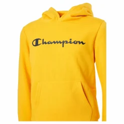 Hooded Sweatshirt Saffron*Champion Best