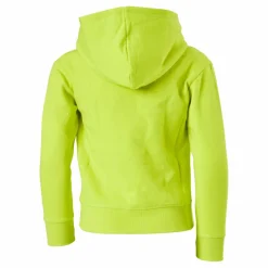Champion Hooded Sweatshirt Sulphur Spring Grön New