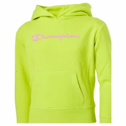 Champion Hooded Sweatshirt Sulphur Spring Grön New