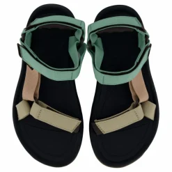 Hurricane Xlt 2 Basil/ Maple Sugar Multi*Teva Online