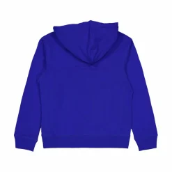 Iconic Twill Hoodie Blue*Russell Online