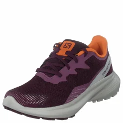 Salomon Impulse W Grape Wine/rainy Day/vibrant O Best