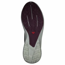 Salomon Impulse W Grape Wine/rainy Day/vibrant O Best