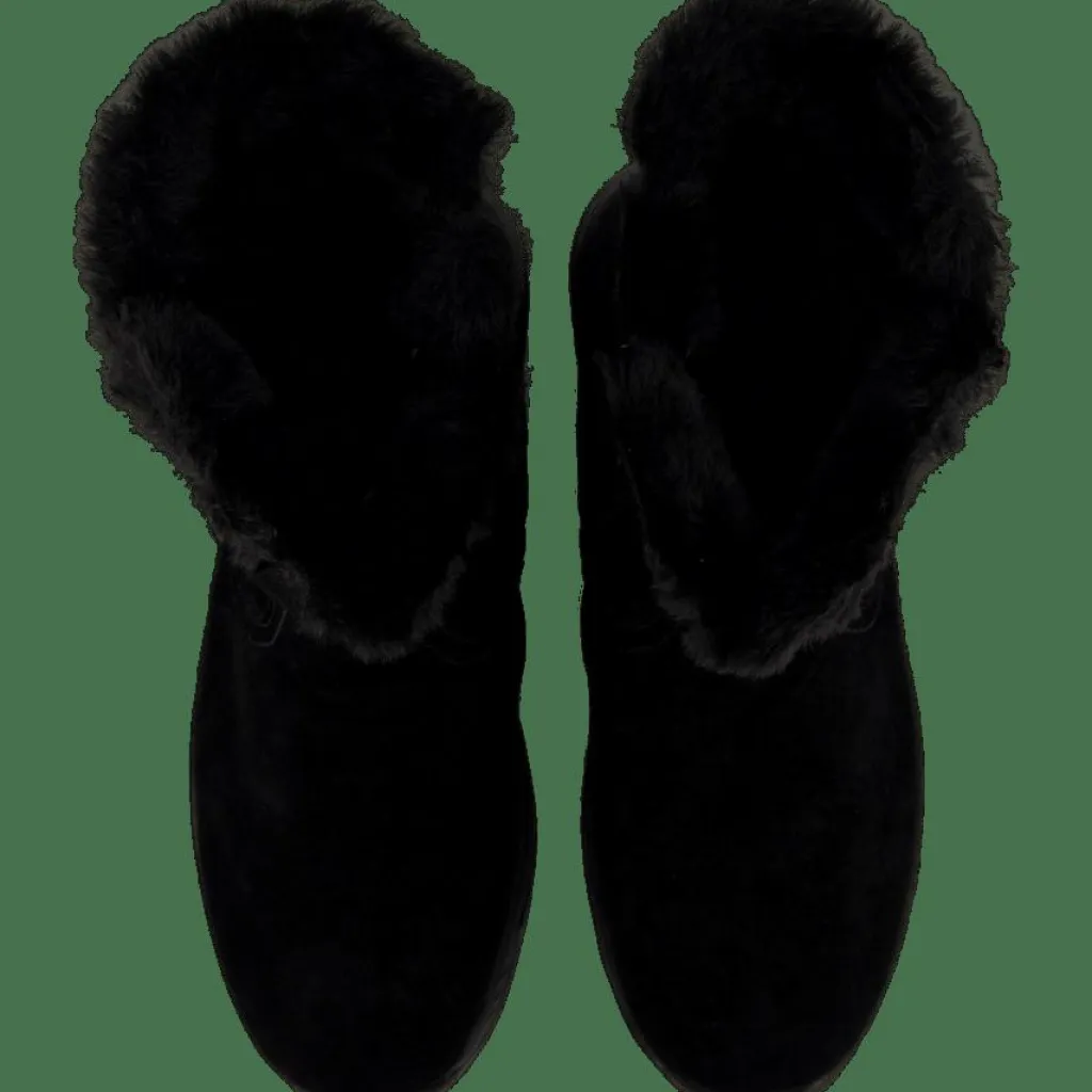 Keizer Studs*Eskimo Best