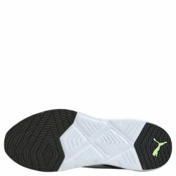 Lex Wn's White-electric Orchid*Puma Sale