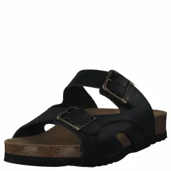 Moldava Black*Scholl Best