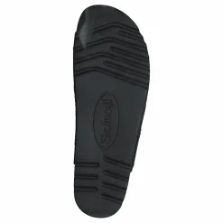 Moldava Black*Scholl Best