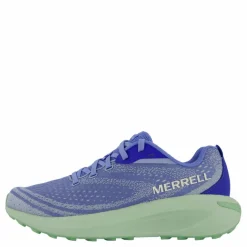Morphlite Conrflower/pear*Merrell Best