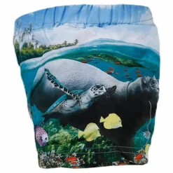 Newton Swim Diaper Blue*Molo Hot