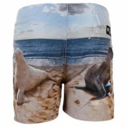 Niko Swim Shorts*Molo Hot