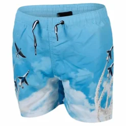 Niko Swim Shorts Blue*Molo Best
