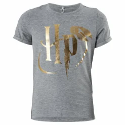 Name It Nkfharrypotter Axa Ss Top Wab Grey Melange Grå Best