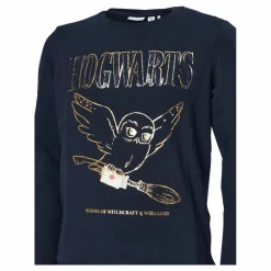 Nkfharrypotter Axine Sweat Bru Dark Sapphire*Name It Discount