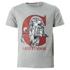 Nkmharrypotter Ron Ss Top Wab Grey Melange*Name It Hot