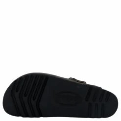 Olivier Grey*Scholl Iconic Best