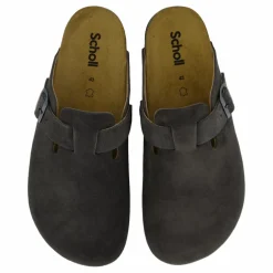 Olivier Grey*Scholl Iconic Best