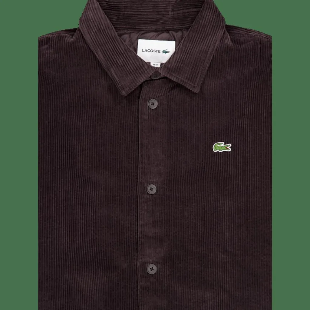 Lacoste Oversized Corduroy Overshirt Skb Brown New
