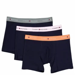 Tommy Hilfiger 3p Boxer Brief Blå Online