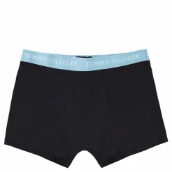 5p Wb Trunk Des Sy/sblna/rf Rd/sklne/wld F*Tommy Hilfiger Best
