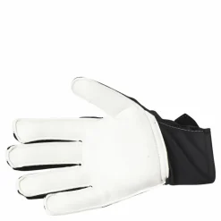 Pred Gl Trn J Team Royal Blue / White / Black*adidas Discount