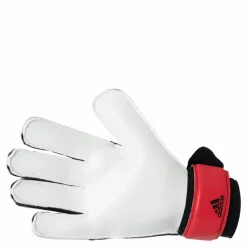 adidas Pred Gl Trn Red / Solar Red / Black Röd Hot
