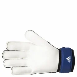 adidas Pred Gl Trn Team Royal Blue / White / Black Blå och Vit Discount