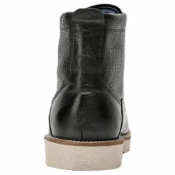 Quick Black*Sneaky Steve Discount