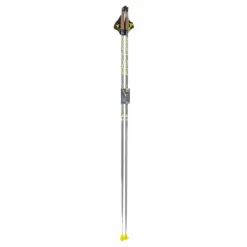 Fischer RCS Poles Black Svart Online
