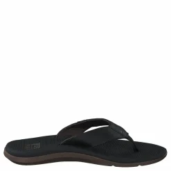 Santa Ana Black*Reef