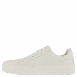 Rex Neapel*Polecat Outlet