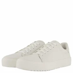 Rex Neapel*Polecat Outlet
