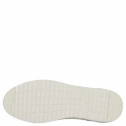 Rex Neapel*Polecat Outlet